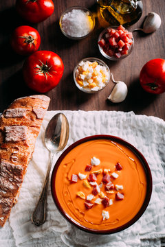 Typical spanish salmorejo