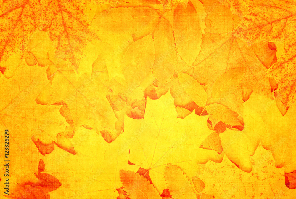 Poster grunge fall background with old paper texture