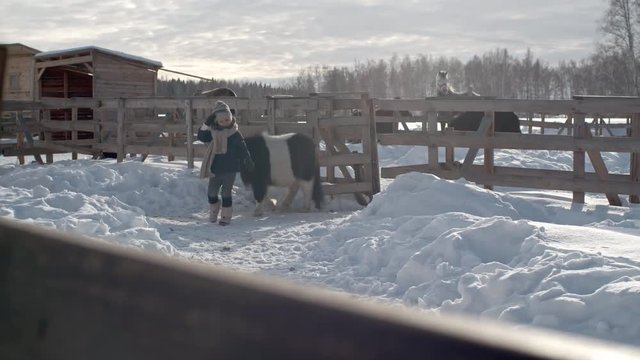 Little girl stepping on white snow and leading horse into stable on bright winter day