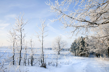 Fototapeta na wymiar Walk through the beautiful winter scene in Russia