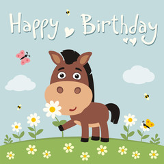Happy birthday! Cute horse with flower camomile on flower meadow. Birthday card.