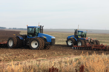 Obraz premium cultivation