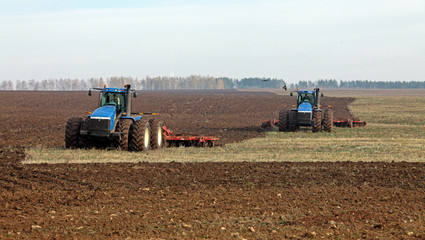 cultivation