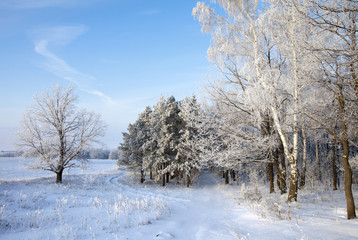 Walk through the beautiful winter scene in Russia