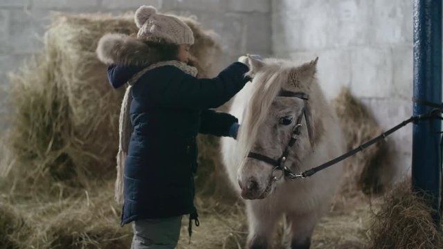 African-American girl in warm clothes standing in stable and brushing white Shetland pony