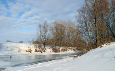 Obraz premium spring landscape