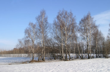 winter day