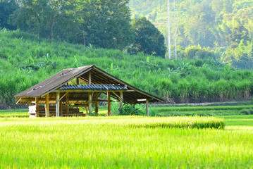 farmer's cottage Located in the middle of the field