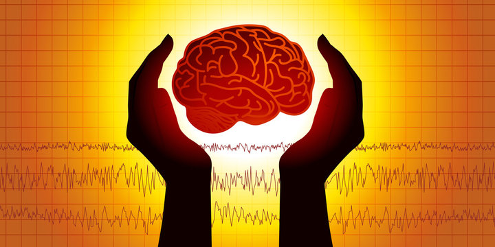 Concept de la m&eacute;decine c&eacute;r&eacute;brale avec deux mains prot&eacute;geant symboliquement un cerveau devant un &eacute;lectroenc&eacute;phalogramme.