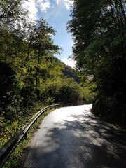 Obraz premium Road through nature