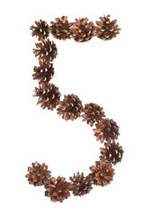 five number made of pine cone