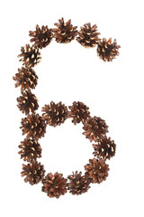 six number made of pine cone