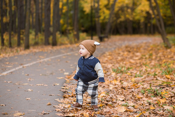 Beautiful baby boy one years old crawling in fallen leaves - autumn scene