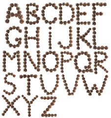 full English alphabet made of pine cone