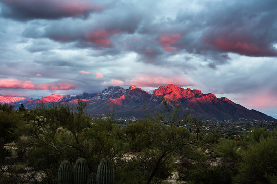The Snow Capped Santa Catalina Mountains are Aglow in Red Sunset Light near Tucson, Arizona