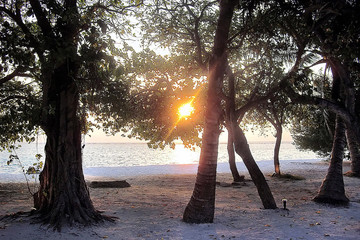 The sun go down behind the horizon of the ocean in the Maldives