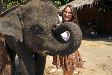 The smilling girl embraces an elephant