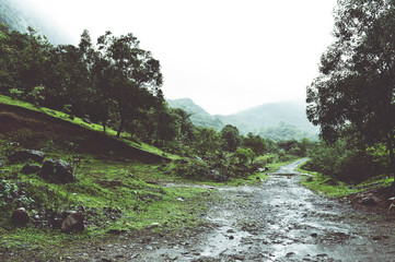 Enchanting natural path with trees on both sides and clouds and mountains 