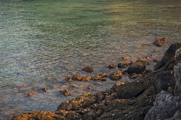 The nature in Thailand