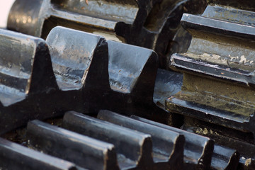 Gear wheels