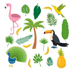 Obraz premium Toucan, hummingbird and flamingo. Summer tropical graphic elemen