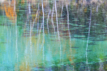 autumn forest reflection in water