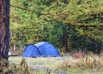 tent standing in the woods