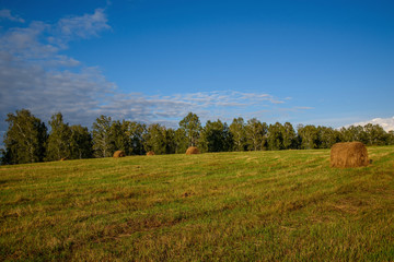 hay stacks field