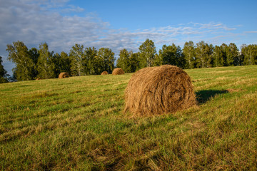 hay stacks field
