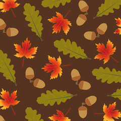 autumn leaves of maple and oak
