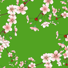 Flowering branch of cherry - seamless wallpaper.