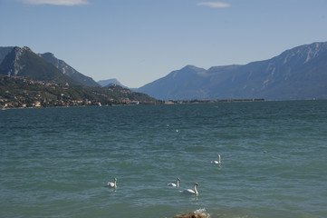 Lake Garda