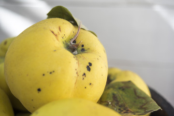 Quinces in a pile