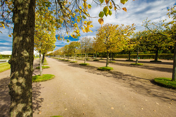 Naklejka premium beautiful autumn park