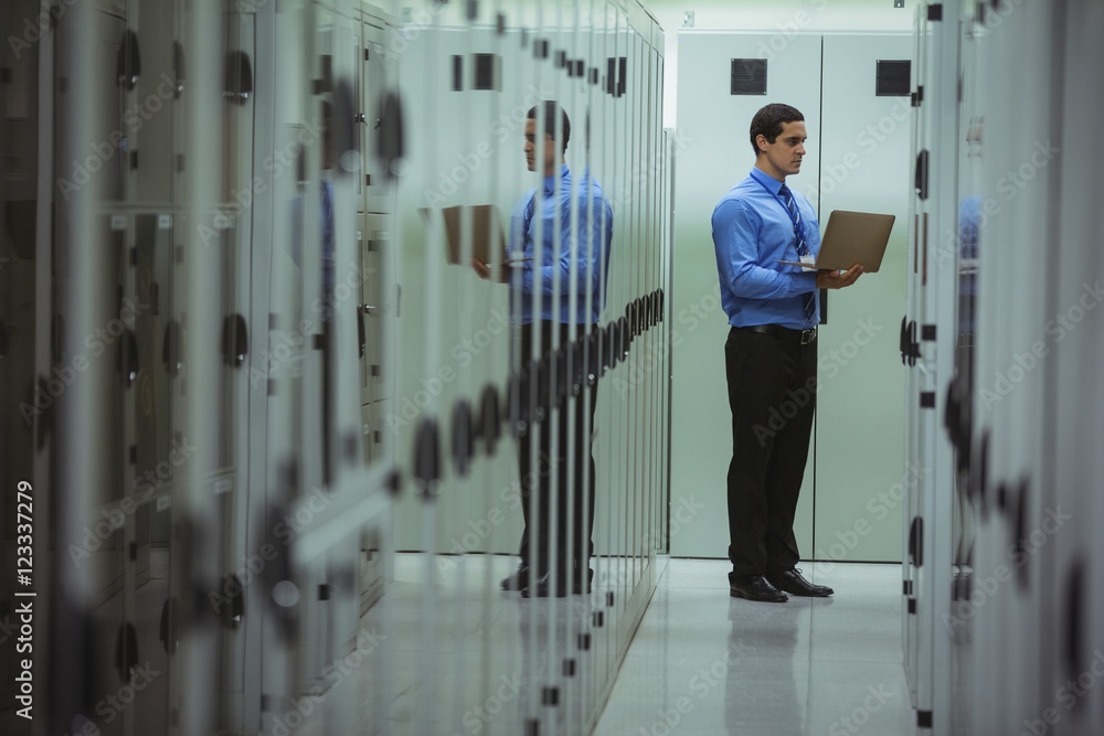 Poster Technician using laptop while analyzing server