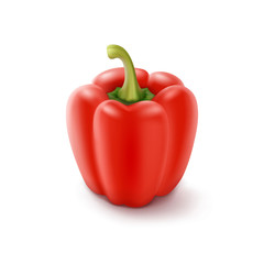 Red Sweet Bulgarian Bell Pepper, Paprika Isolated on White Background