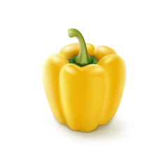 Vector Yellow Sweet Bulgarian Bell Pepper, Paprika Isolated on Background
