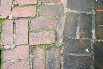 Obraz premium Wet and dirty slippery bricks floor, seperate into black and ora