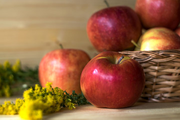 Red autumn apples