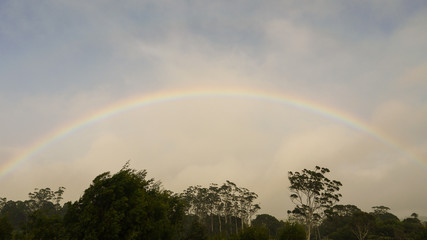 Regenbogen im Springbrook Nationalpark, Queensland in Australien