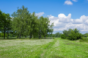 Eastern Europe summer landscape