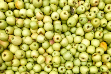 Local market green apples background