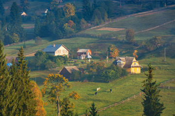 Vorokhta village on a mountain hill