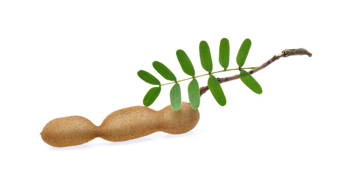Tamarind on white background