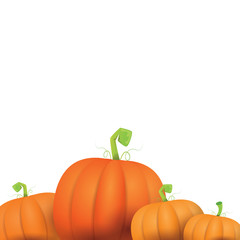 autumn vector pumpkins border design template