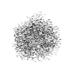 Presentation for Halloween. A flock of flying birds forms pumpkin - part of timelapse, stop motion, gif animation. Jack-o'-lantern formed by birds.