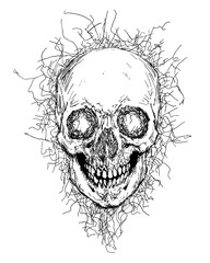Vector skull
