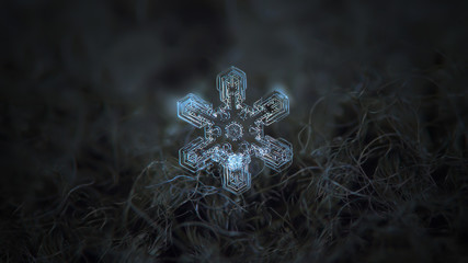 Snowflake sparkling on dark grey wool background. This is macro photo of real snow crystal: big...
