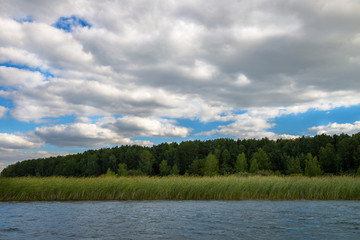 Forest, Lake and Blue Sky