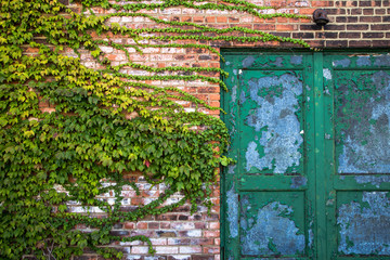 Fototapeta na wymiar green door with wall